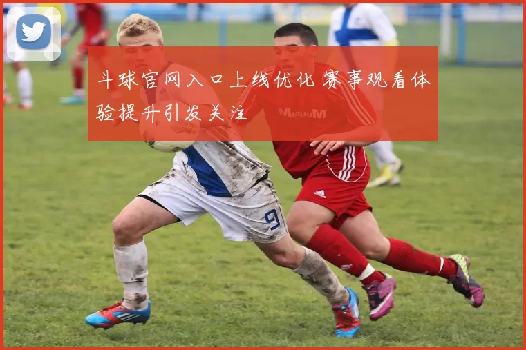 斗球官网入口上线优化 赛事观看体验提升引发关注