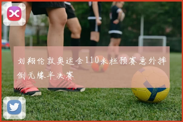 刘翔伦敦奥运会110米栏预赛意外摔倒无缘半决赛